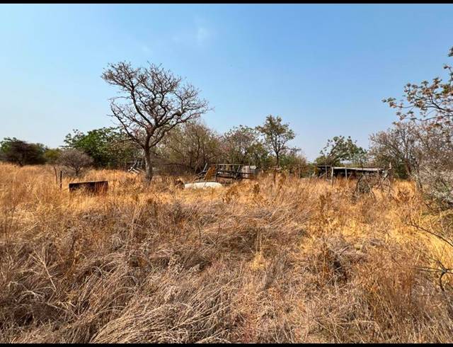 FARM FOR SALE IN BULTFONTEIN A H
